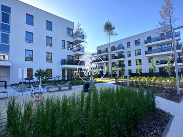 Mieszkanie Toruń sprzedaż