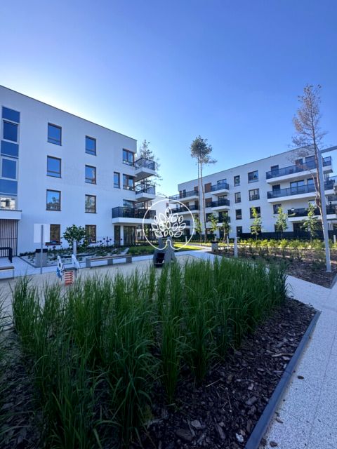 Mieszkanie Toruń sprzedaż