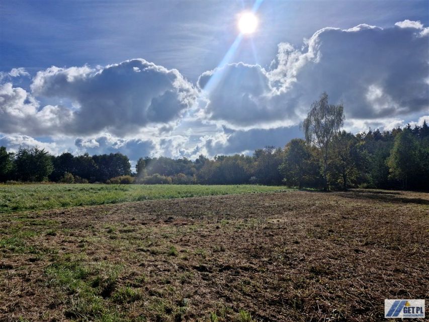Działka rolna sprzedam