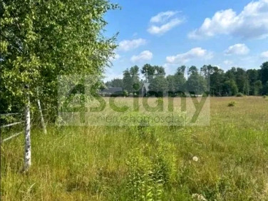 Działka BUDZISKA