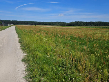 Działka budowlana Kopanino