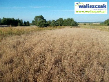 Działka rekreacyjna Wielkopole