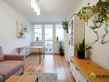 Mieszkanie Jelenia Góra