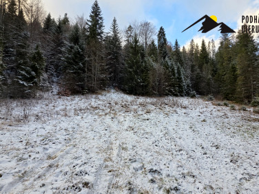 Działka rolna Ochotnica Górna