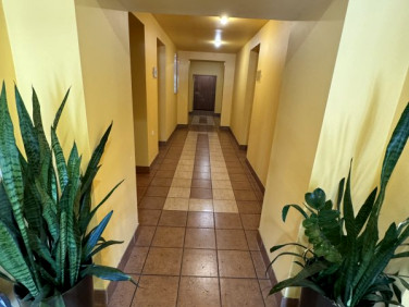 Lokal Katowice sprzedaż