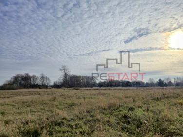 Działka Budy Zosine