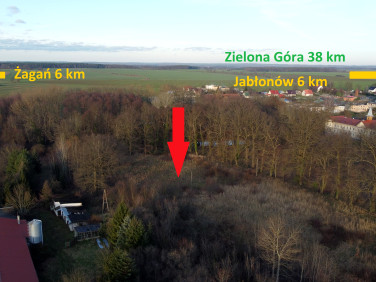 Działka Dzietrzychowice