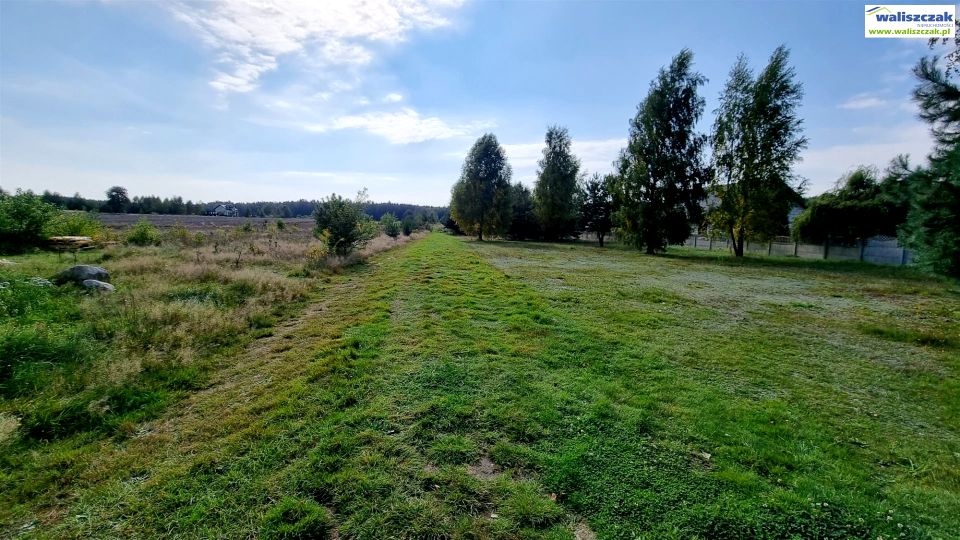Zdjęcie 3
