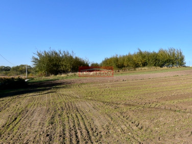 Działka usługowa Morawica