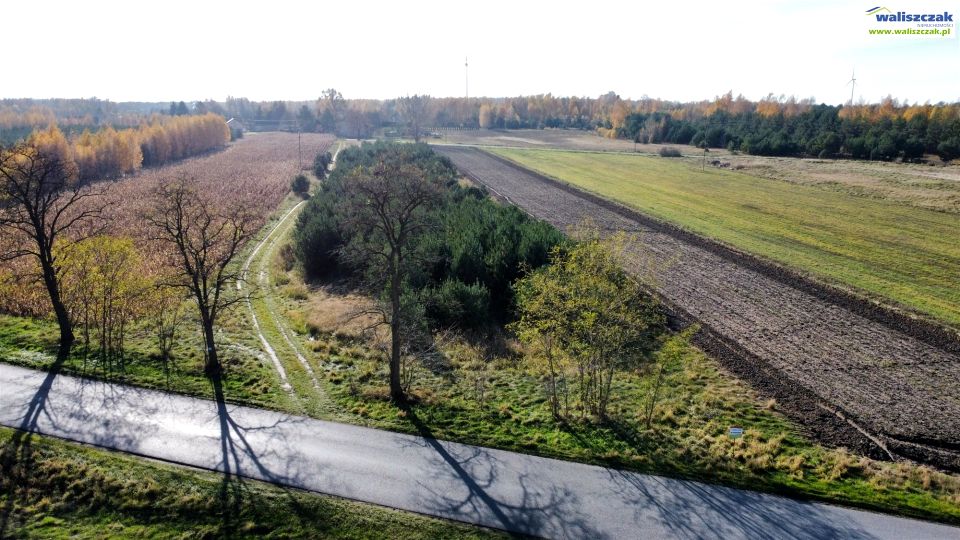 Zdjęcie 2