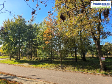 Działka budowlana Piotrków Trybunalski