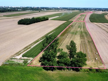 Działka Piotrków Trybunalski