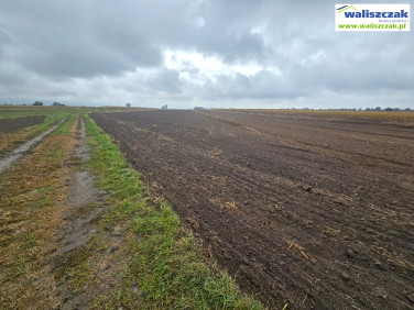 Działka Piotrków Trybunalski