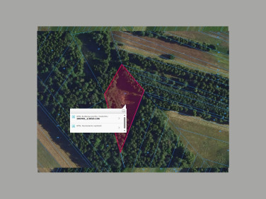 Działka rolna Wójcin sprzedam