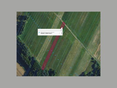 Działka rolna Wójcin