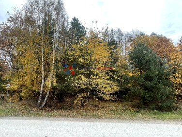 Działka budowlana Prace Duże