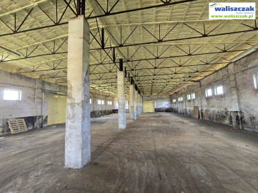 Budynek użytkowy Piotrków Trybunalski