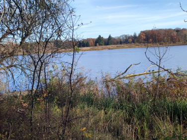 Działka budowlana Lipiany