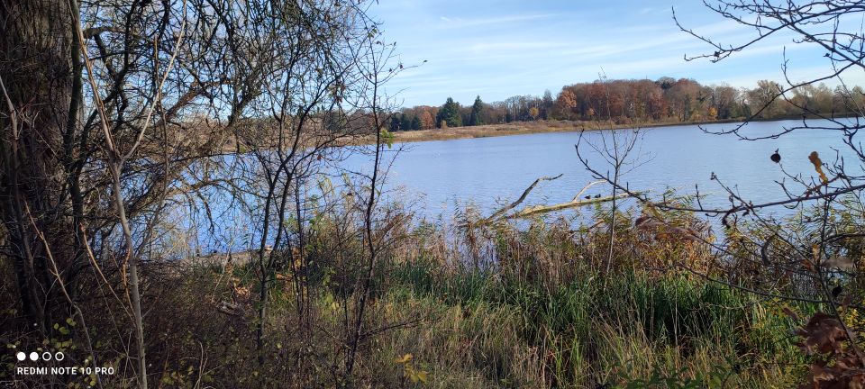 Działka budowlana Lipiany