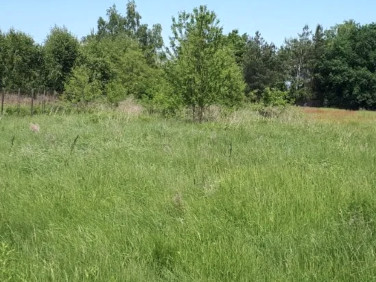 Działka budowlana Wólka Kosowska