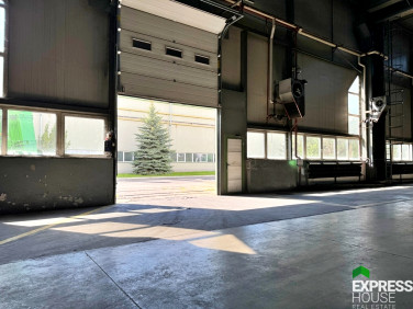 Budynek użytkowy Lublin wynajem