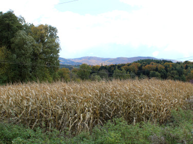 Działka budowlano-rolna Kierlikówka