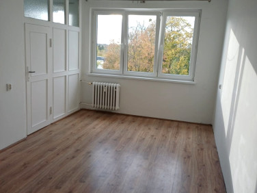 Mieszkanie Kruszwica