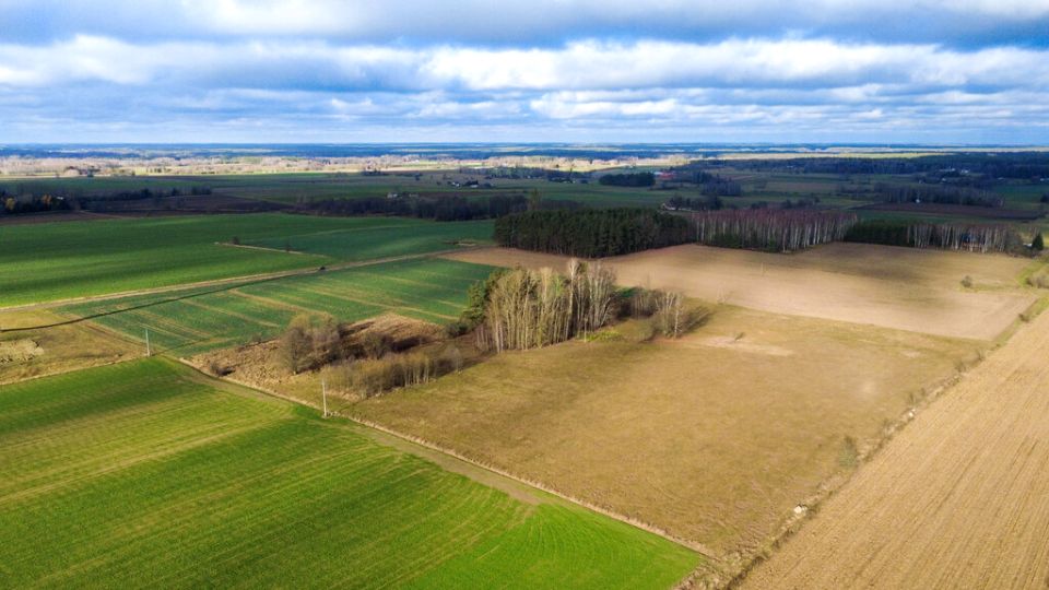 Działka rolna Dobrzyniówka