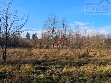 Działka budowlana Krakowiany