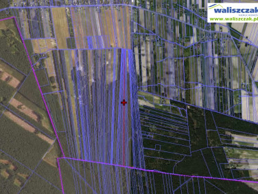 Działka rolna Bilska Wola
