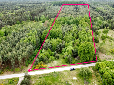 Działka rolna Bilska Wola