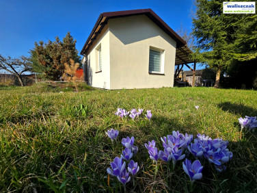 Dom Piotrków Trybunalski