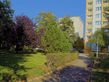 Mieszkanie Toruń sprzedaż