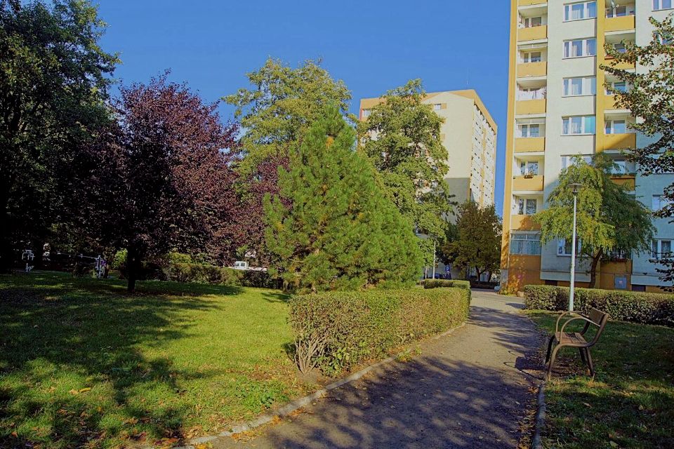 Mieszkanie Toruń sprzedaż