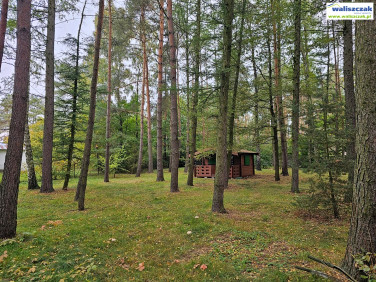 Działka Bądzyń