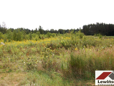 Działka budowlana Piotrkowice