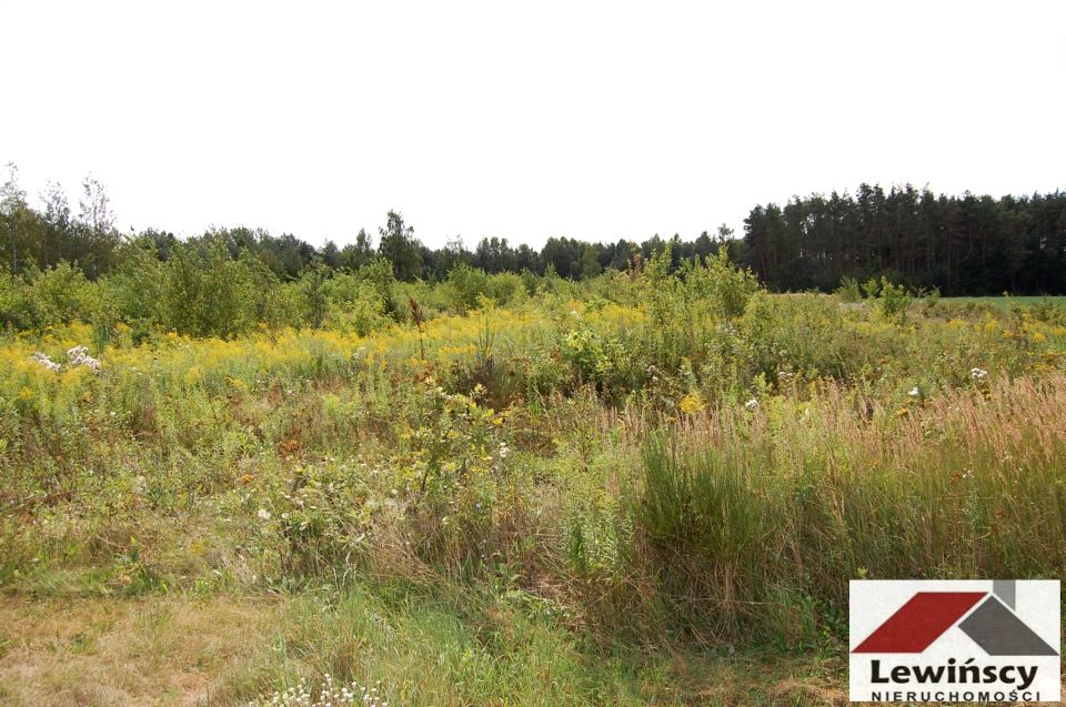 Działka budowlana Piotrkowice