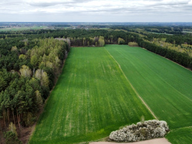 Działka rolna Aleksandrów