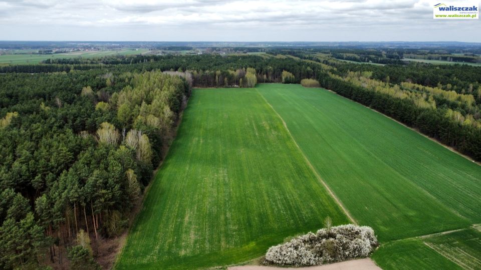 Działka rolna Aleksandrów