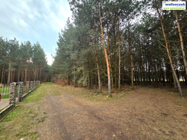 Działka budowlana Sulejów sprzedam