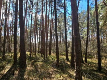 Działka rolna Stobnica-Piła