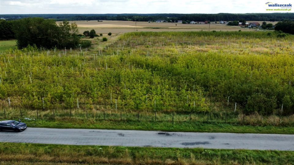 Działka Łazy-Dąbrowa