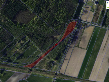 Działka rolna Bogdanów