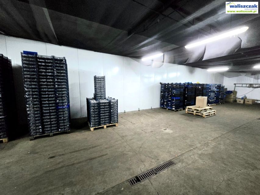 Budynek użytkowy Piotrków Trybunalski