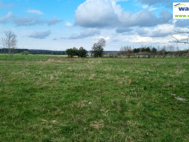 Działka budowlana Koło