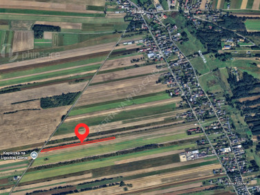 Działka rolna Biała