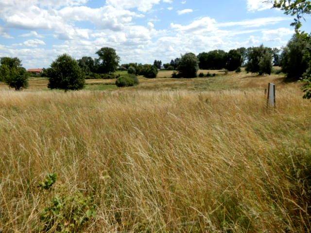 Działka rolna Trzeszyn