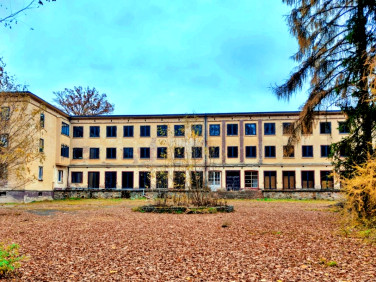 Lokal Szumirad sprzedaż