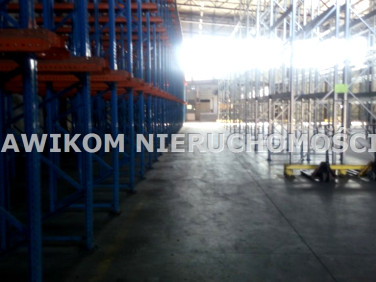 Budynek użytkowy Skierniewice