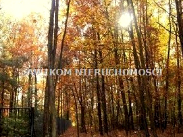 Działka budowlana Tartak Brzózki